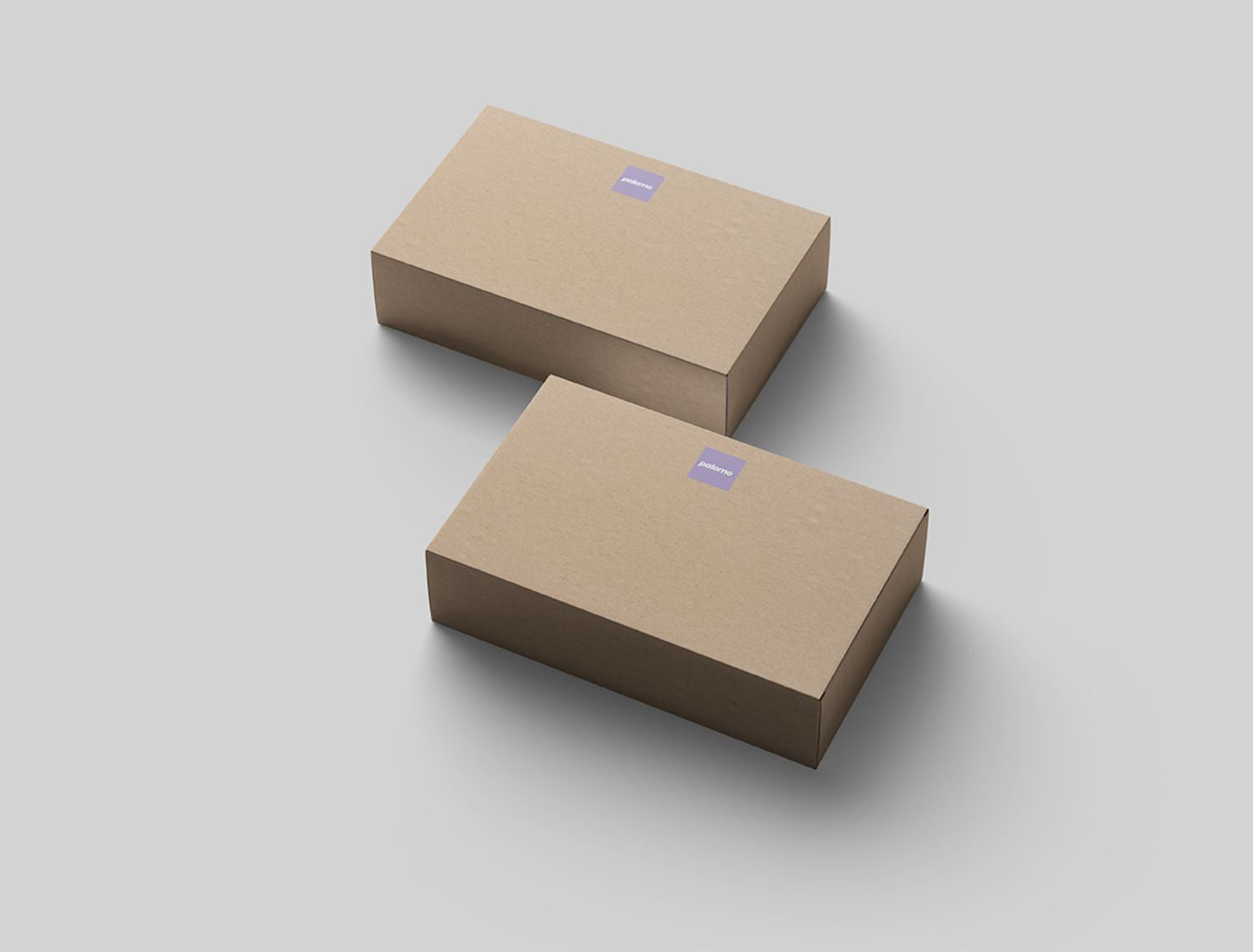 Natural cardboard folding box
